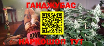 шишки Будённовск