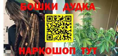 шишки Будённовск