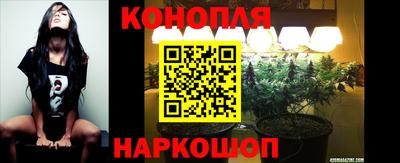 шишки Будённовск