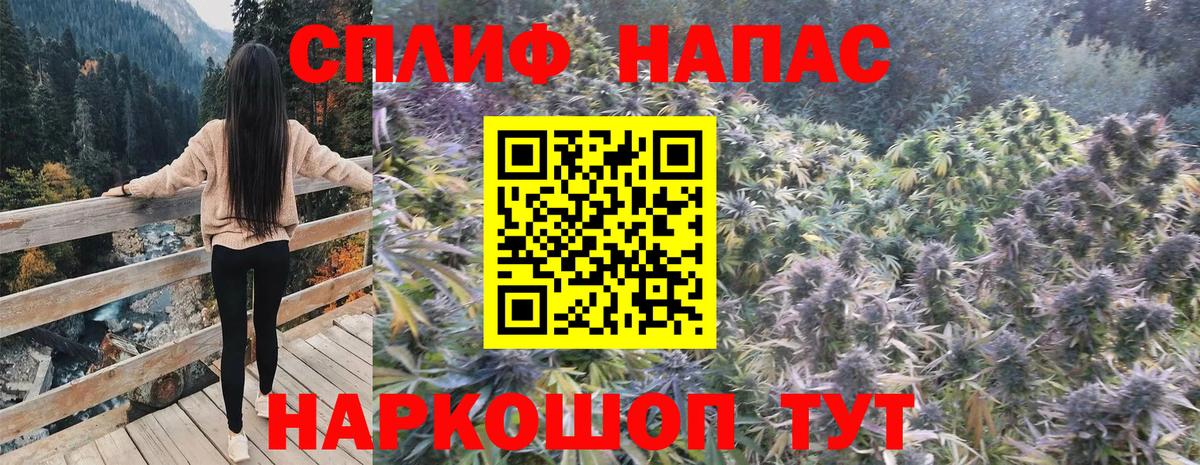 Шишки марихуана индика Новороссийск